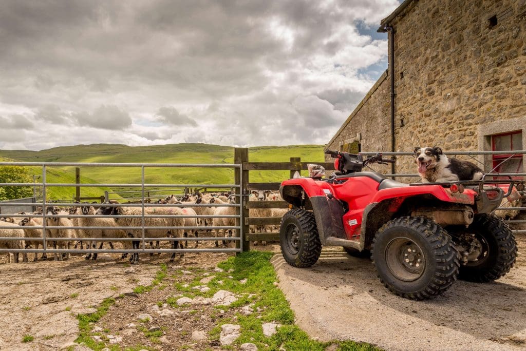 Quad bike on a farm