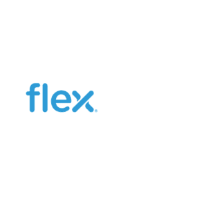 Safeguard Systems Client - Flex logo